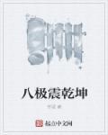 八极之宝乾坤问