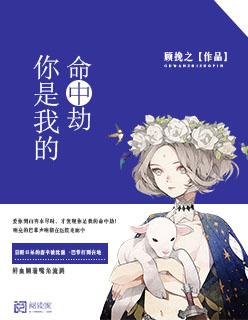 你是我命中的劫免费阅读全文