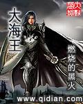 大海王菲现场演唱