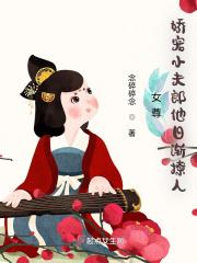 女尊独宠小夫郎