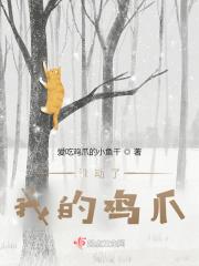 谁动了我的菜