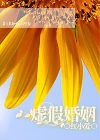 虚假婚姻by羊毛卷咩咩笔趣阁最新
