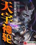 光宇天轮决